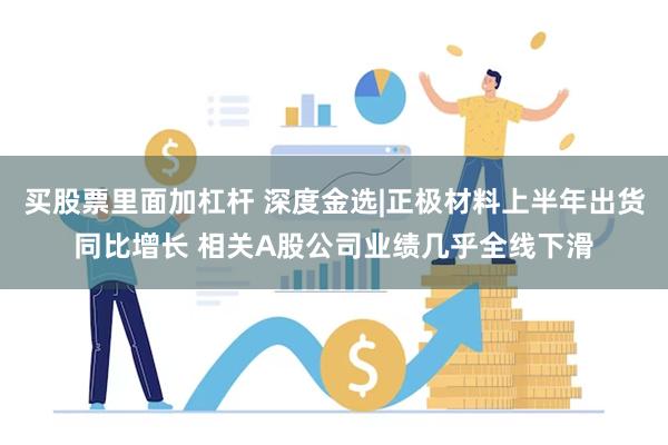 买股票里面加杠杆 深度金选|正极材料上半年出货同比增长 相关A股公司业绩几乎全线下滑