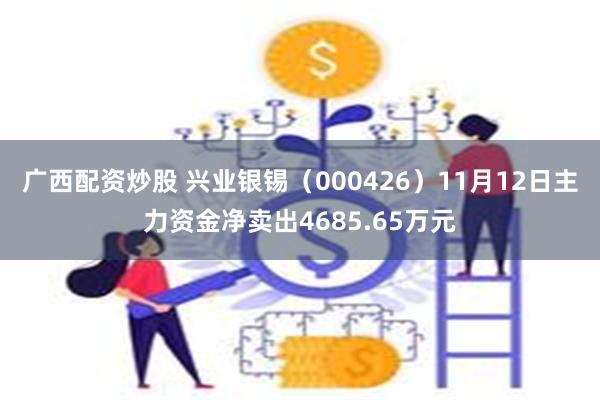 广西配资炒股 兴业银锡（000426）11月12日主力资金净卖出4685.65万元