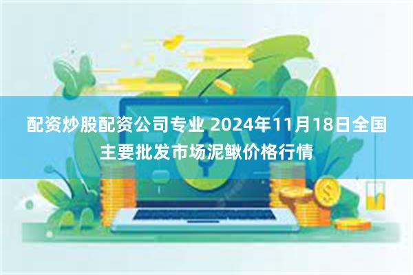 配资炒股配资公司专业 2024年11月18日全国主要批发市场泥鳅价格行情