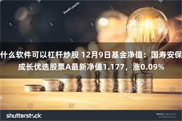 什么软件可以杠杆炒股 12月9日基金净值：国寿安保成长优选股票A最新净值1.177，涨0.09%