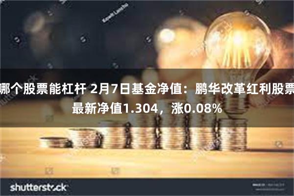 哪个股票能杠杆 2月7日基金净值：鹏华改革红利股票最新净值1.304，涨0.08%